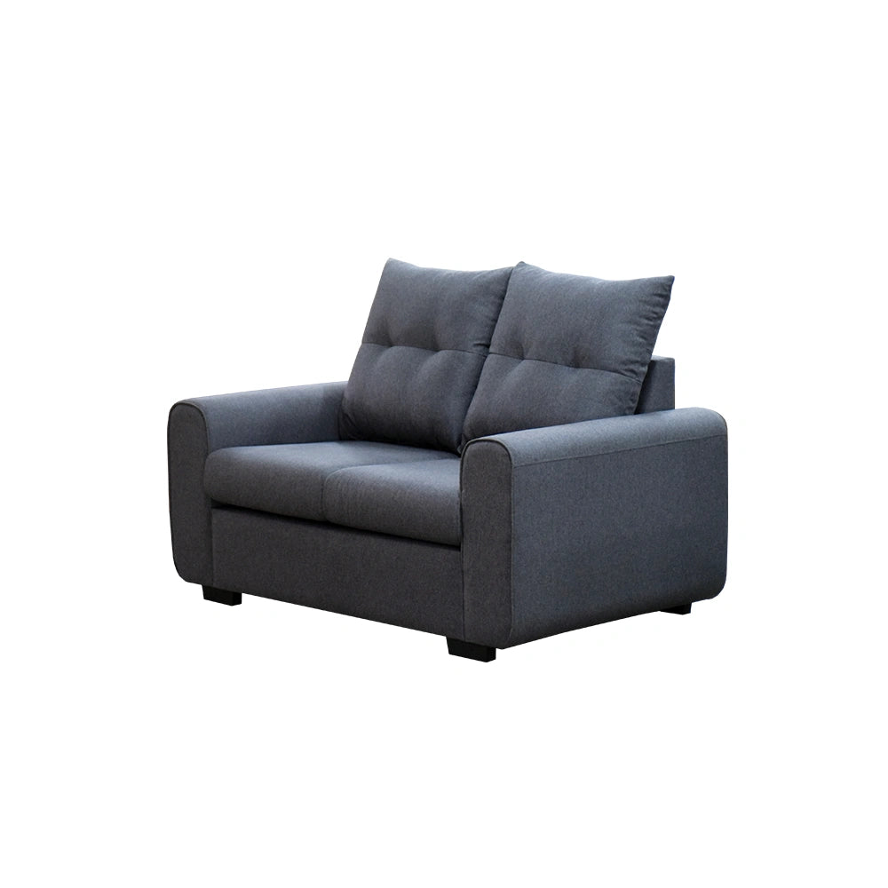 Gray sofa with two cushions on a white background
