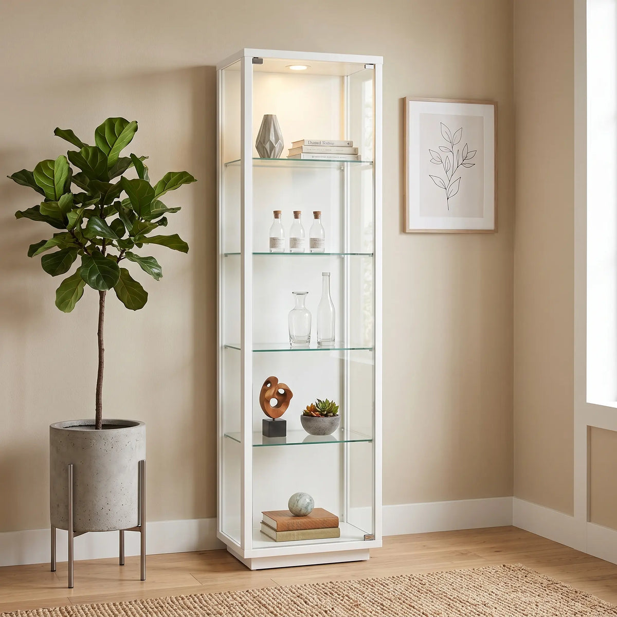 Linea Display Cabinet