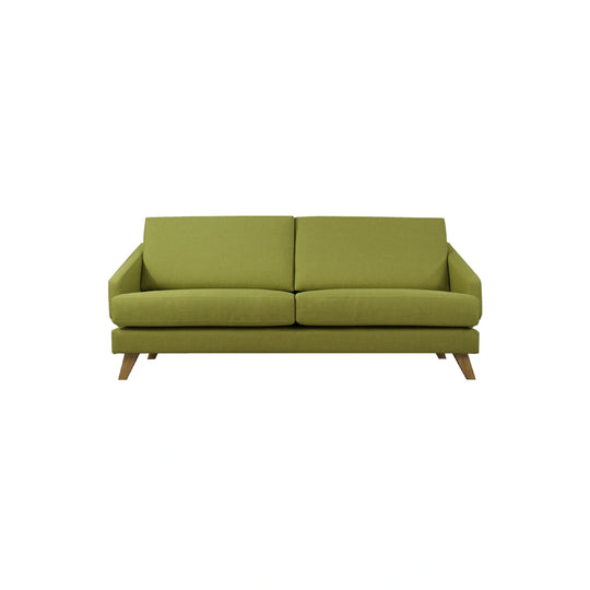 Green sofa on a white background