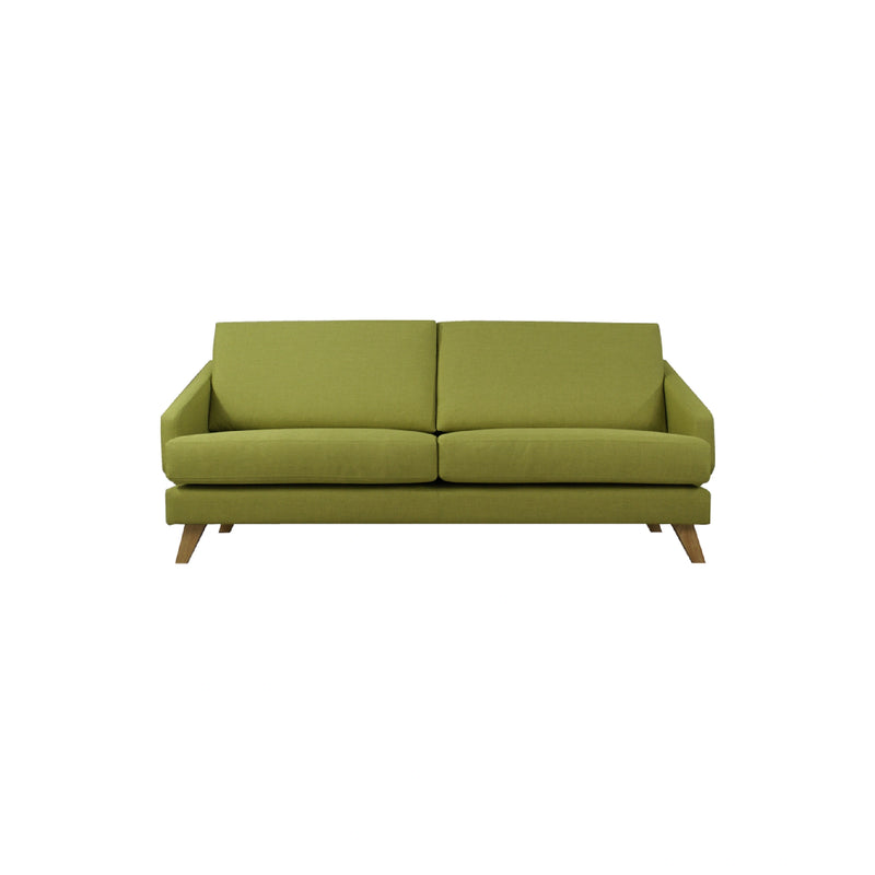 Green sofa on a white background