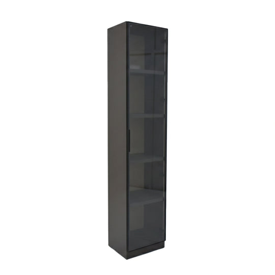 Tall black bookshelf with glass doors on a white background