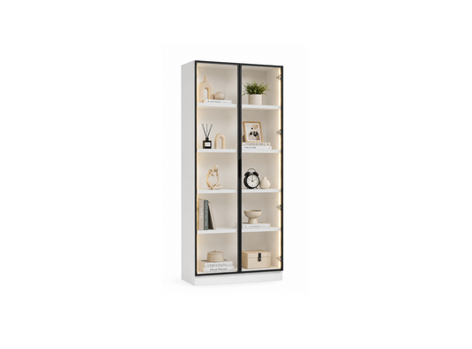 Oslin 2 Door Display Cabinet