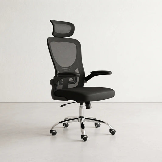 Rex Office Chiar